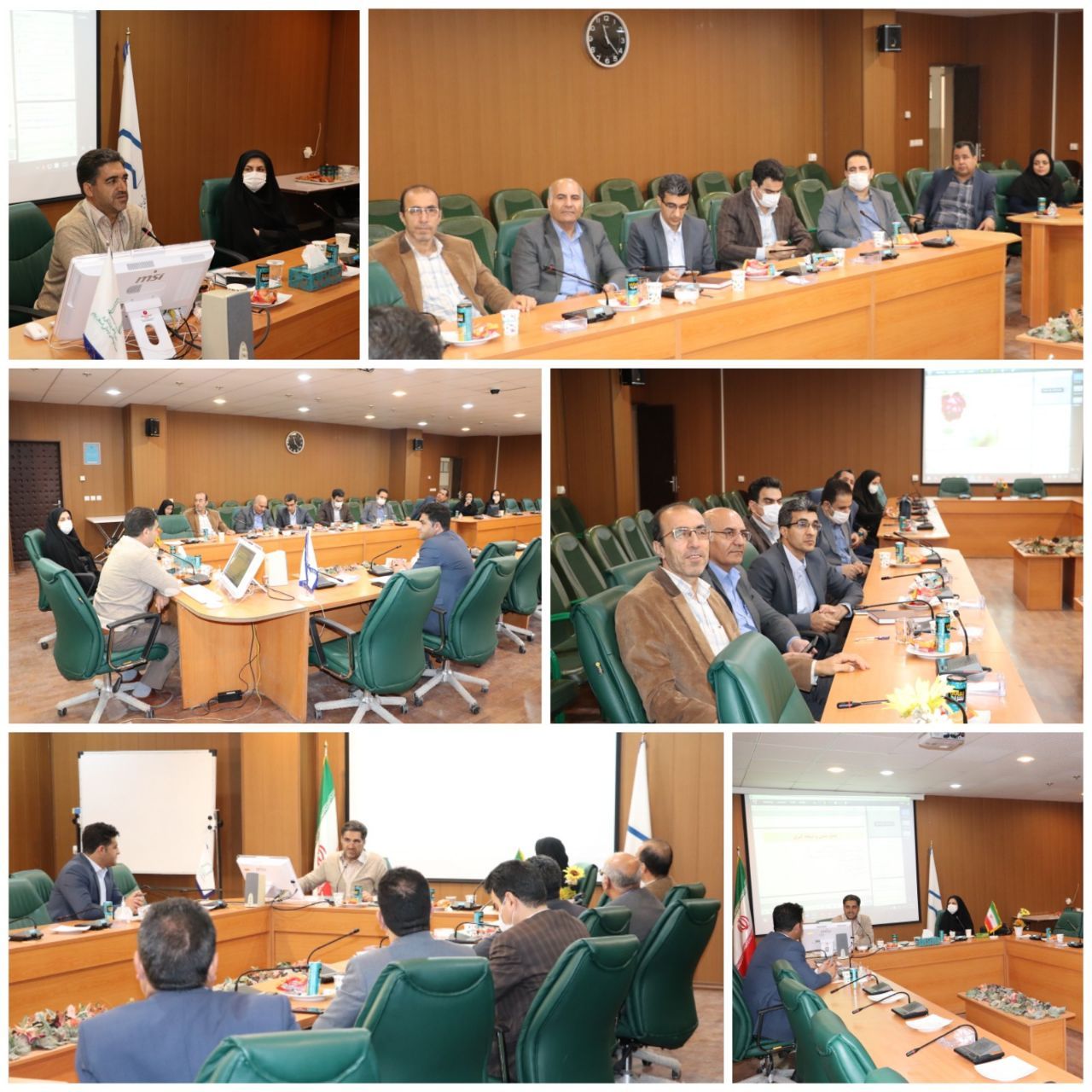 بین المللی سازی ایلام